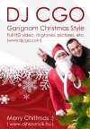 Karácsonyi meglepetésünk: DJ CGO - Gangnam Christmas Style! Nightly version! :) (Ho-Ho Psy - Gangnam Style :)